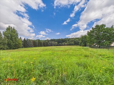 Zapraszam do zakupu działki 7000 m² w Sady z widokiem na Ślężę działka Sady