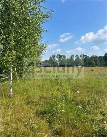 działka na sprzedaż 1293m2 działka Budziska