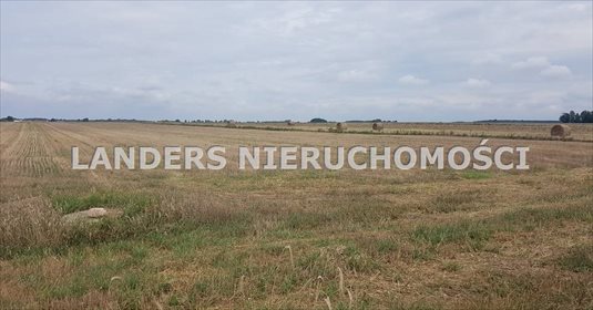Działka inna na sprzedaż Kazimierz 19 000m2 Foto 4