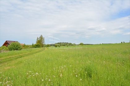 działka na sprzedaż 3196m2 działka Dobrzyniewo Kościelne