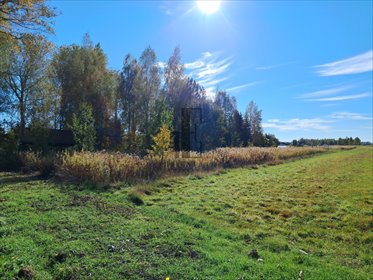 działka na sprzedaż 890m2 działka Dębe Wielkie