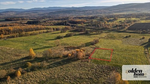 Działka 1340 m² z widokiem na Karkonosze i Izerów działka Grudza, Grudza/Kłopotnica
