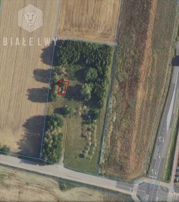 Działka 6400 m² z mediami i potencjałem inwestycyjnym działka Elżbietów