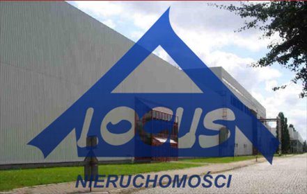 Nowoczesny biurowiec 720 m² z parkingiem - polecam lokal użytkowy Warszawa, Praga-Północ