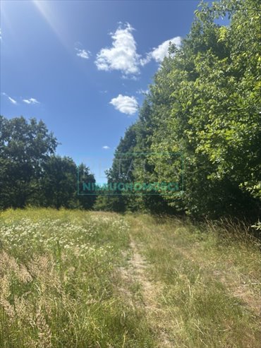 działka na sprzedaż 2461m2 działka Chrzanów Mały