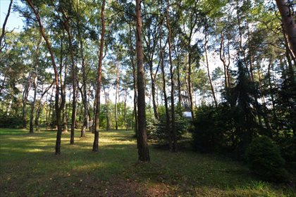 Działka rekreacyjna na sprzedaż Dąbrowa Górnicza, Pogoria 2 433m2 Foto 7