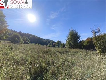 Do sprzedania działka 14 200 m² z lasem i łąkami działka Stare Bogaczowice