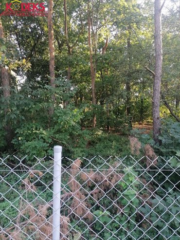 Działka budowlana na sprzedaż Legionowo 2 250m2 Foto 5