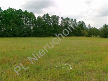 Działka rolna na sprzedaż Sokolnik 15 800m2 Foto 3