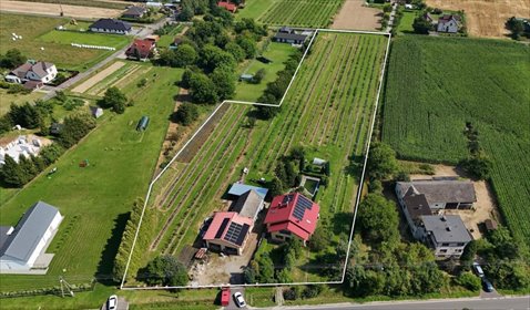 Do sprzedania dom 200 m² z uprawą borówki w Kaczycach dom Kaczyce