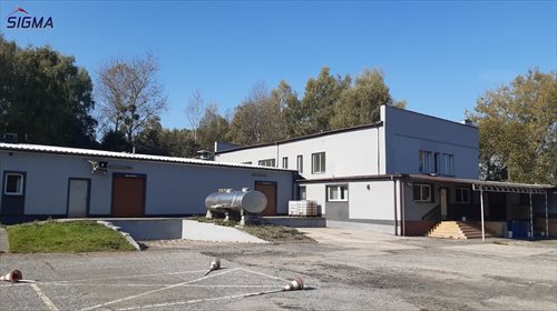 Lokal użytkowy na sprzedaż Bytom, Karb 1 200m2 Foto 3