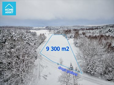 działka na sprzedaż 9300m2 działka Błotnia
