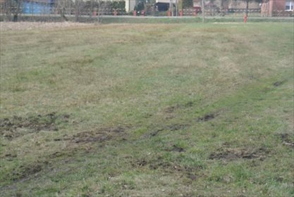 Działka budowlana na sprzedaż Mikołów, Borowa Wieś 2 256m2 Foto 7