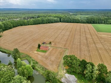 działka na sprzedaż 65540m2 działka Ciarka, Bez Nazwy