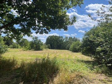 Działka 3 070 m² w Milanówku (blisko WKD) z możliwością podziału działka Milanówek