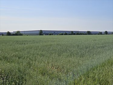 Do sprzedania działka 11,7 ha z potencjałem inwestycyjnym działka Szamoty