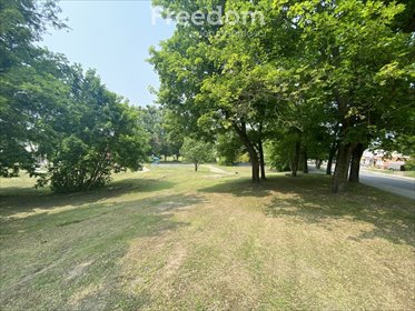 działka na sprzedaż 426m2 działka Kisielice, Sienkiewicza