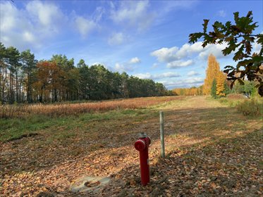 działka na sprzedaż 2300m2 działka Czerwińsk nad Wisłą, ROGUSZYN