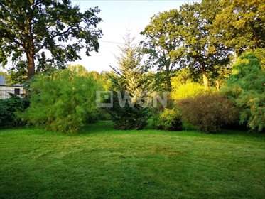 Działka budowlana na sprzedaż Stróża, gm. Mietków, gm. Mietków 2 198m2 Foto 2