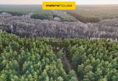 działka na sprzedaż 8300m2 działka Łapinóż