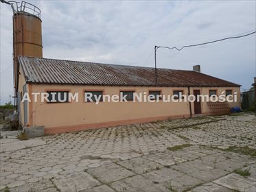 Magazyn na sprzedaż Krężna 460m2 Foto 2