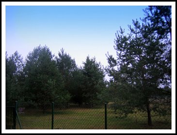 działka na sprzedaż 3000m2 działka Łazy