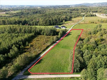 Do sprzedania działka 54 arów w spokojnych Ołpinach działka Ołpiny