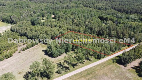 Działka rolna 6 211 m² z widokami i dostępem do Green Velo działka Kruszewo, Kruszewska