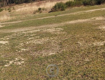 działka na sprzedaż 1200m2 działka Trzebów