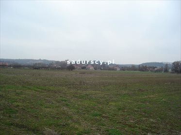 Działka inwestycyjna na sprzedaż Morawica 10 000m2 Foto 7