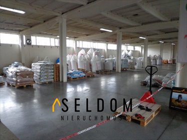 Obiekt magazynowo-biurowy 1000 m2 przy głównej trasie lokal użytkowy Prószków