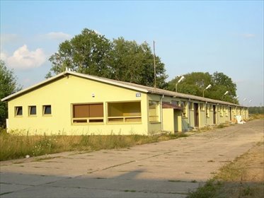 magazyn na sprzedaż 3419m2 magazyn Wieliszew