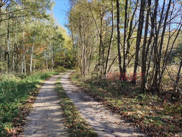 działka na sprzedaż 20000m2 działka Radziejowice