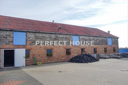 Lokal użytkowy na sprzedaż Mrowino 257m2 Foto 4
