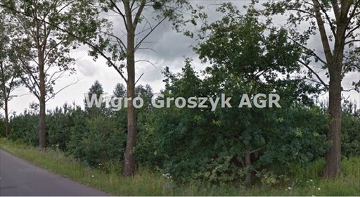Działka 16 900 m² pod rekreację i zabudowę (Secymin Polski) działka Secymin Polski
