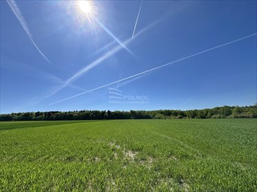 działka na sprzedaż 5500m2 działka Grązów