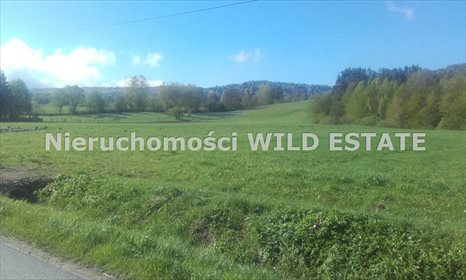 działka na sprzedaż 3050m2 działka Olszanica, Paszowa