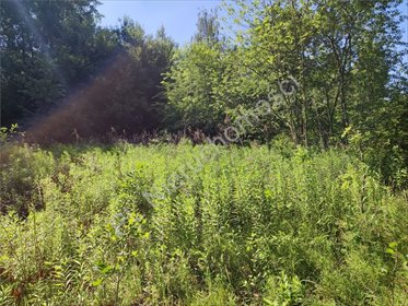 Działka 950 m² z mediami, MPZP, blisko Warszawy - polecam! działka Stara Wieś