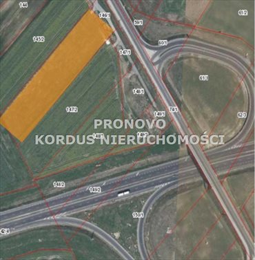 działka na sprzedaż 8356m2 działka Święte