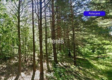 działka na sprzedaż 1402m2 działka Chełsty