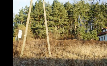 działka na sprzedaż 6300m2 działka Gronowo Górne, Opalowa