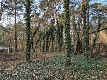 działka na sprzedaż 1487m2 działka Owczarnia, Piastowska