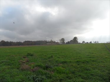 Działka rolna na sprzedaż Mikołów, Kąty, Kąty 3 260m2 Foto 4