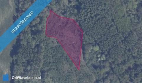 działka na sprzedaż 5451m2 działka Pręgowo