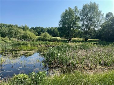 działka na sprzedaż 47925m2 działka Jabłonka Stara, Jabłonka Stara