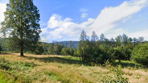 działka na sprzedaż 5316m2 działka Świeradów-Zdrój