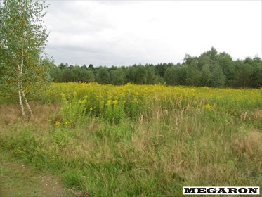 Działka 3070 m² w Woli Mokrzesce - potencjał inwestycyjny działka Wola Mokrzeska