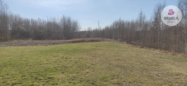 Działka inwestycyjna na sprzedaż Gronity, Gronity 4 888m2 Foto 3