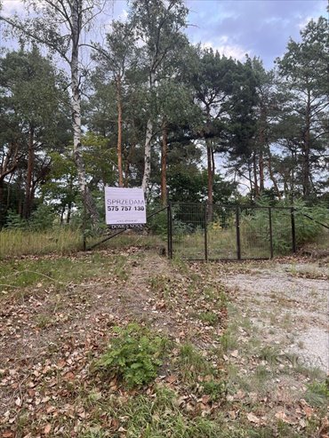 Polecam działkę 2000 m² w Starej Miłosnej, cicha okolica działka Warszawa, Wesoła Stara Miłosna, Trakt Brzeski