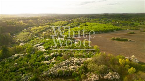 Działka 12 000 m² z planem rezydencjonalnym polecam działka Pręgowo Górne